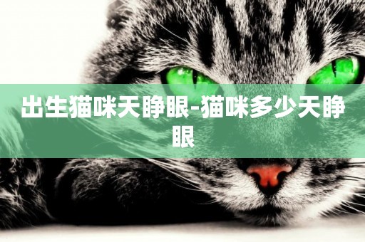 出生貓咪天睜眼-貓咪多少天睜眼