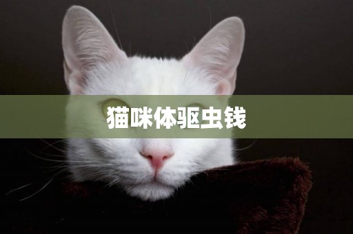 貓咪體驅蟲錢