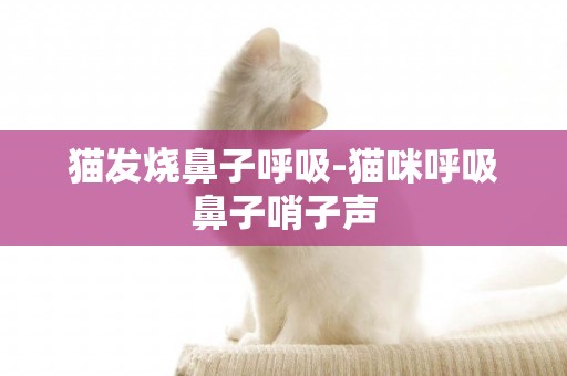 貓發燒鼻子呼吸-貓咪呼吸鼻子哨子聲