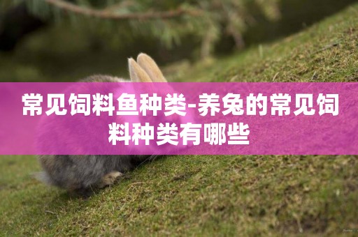 常見飼料魚種類-養兔的常見飼料種類有哪些