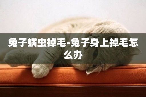 兔子螨蟲掉毛-兔子身上掉毛怎么辦