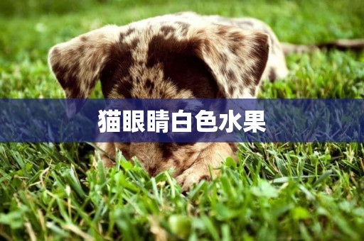 貓眼睛白色水果