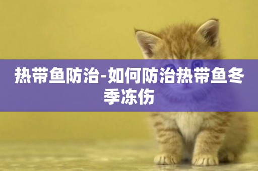 熱帶魚防治-如何防治熱帶魚冬季凍傷