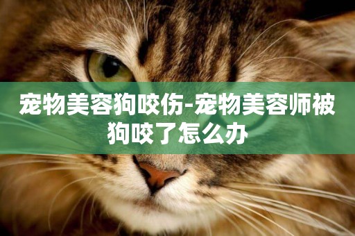 寵物美容狗咬傷-寵物美容師被狗咬了怎么辦