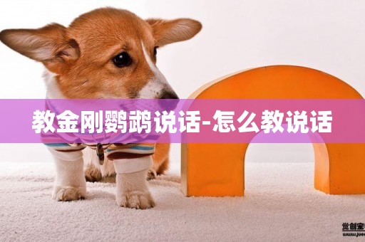 教金剛鸚鵡說話-怎么教說話