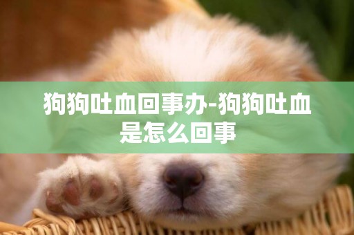 狗狗吐血回事辦-狗狗吐血是怎么回事