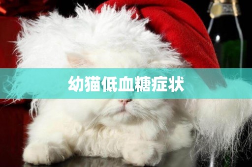 幼貓低血糖癥狀