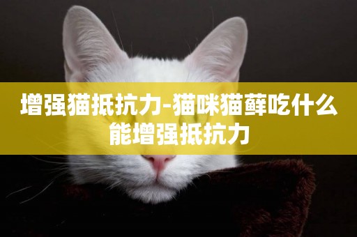 增強貓抵抗力-貓咪貓蘚吃什么能增強抵抗力