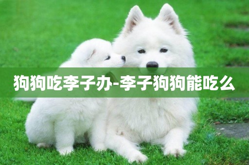 狗狗吃李子辦-李子狗狗能吃么