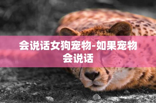 會說話女狗寵物-如果寵物會說話