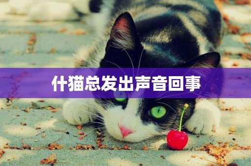 什貓總發出聲音回事