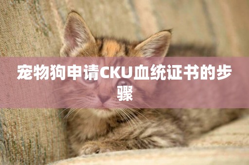 寵物狗申請CKU血統證書的步驟