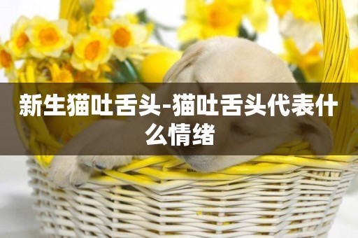 新生貓吐舌頭-貓吐舌頭代表什么情緒