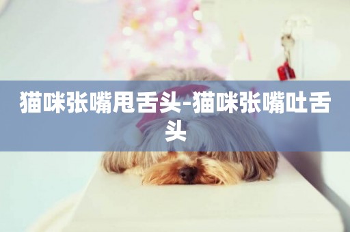 貓咪張嘴甩舌頭-貓咪張嘴吐舌頭