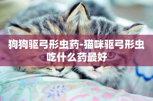 狗狗驅弓形蟲藥-貓咪驅弓形蟲吃什么藥最好
