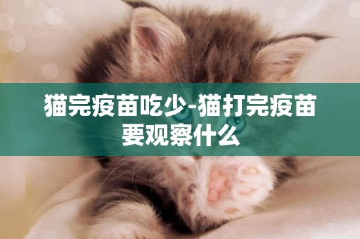 貓完疫苗吃少-貓打完疫苗要觀察什么