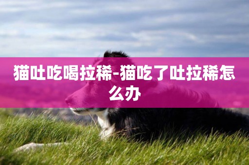 貓吐吃喝拉稀-貓吃了吐拉稀怎么辦