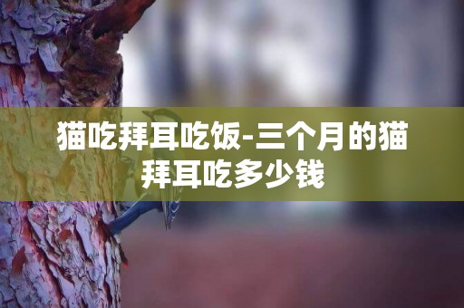 貓吃拜耳吃飯-三個月的貓拜耳吃多少錢