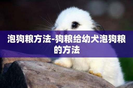 泡狗糧方法-狗糧給幼犬泡狗糧的方法