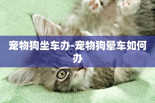 寵物狗坐車辦-寵物狗暈車如何辦