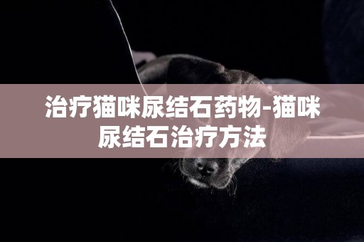 治療貓咪尿結石藥物-貓咪尿結石治療方法
