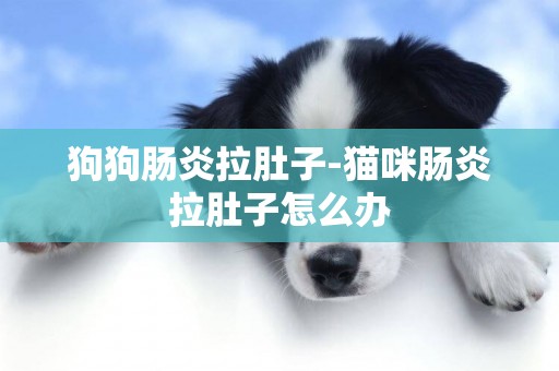狗狗腸炎拉肚子-貓咪腸炎拉肚子怎么辦