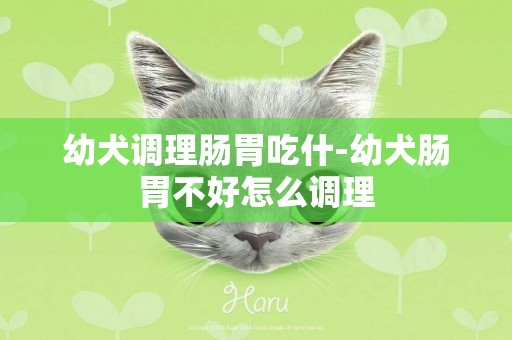幼犬調理腸胃吃什-幼犬腸胃不好怎么調理