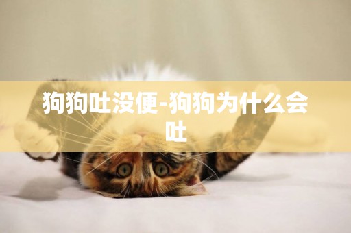 狗狗吐沒便-狗狗為什么會吐