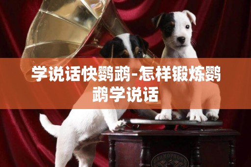 學說話快鸚鵡-怎樣鍛煉鸚鵡學說話