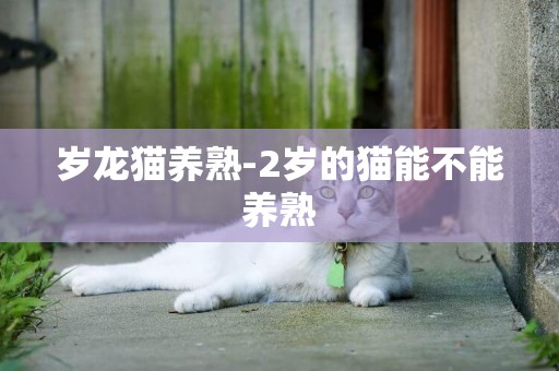 歲龍貓養熟-2歲的貓能不能養熟