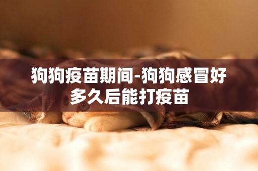 狗狗疫苗期間-狗狗感冒好多久后能打疫苗