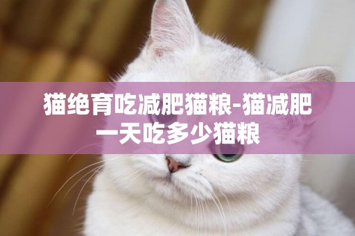 貓絕育吃減肥貓糧-貓減肥一天吃多少貓糧