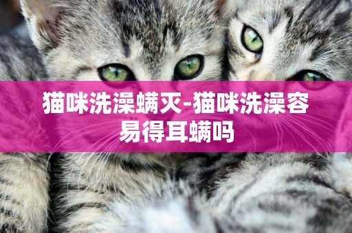 貓咪洗澡螨滅-貓咪洗澡容易得耳螨嗎