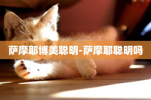 薩摩耶博美聰明-薩摩耶聰明嗎
