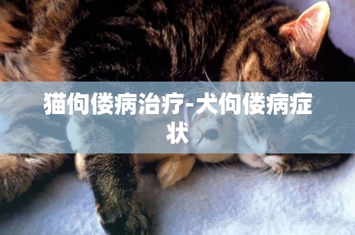貓佝僂病治療-犬佝僂病癥狀