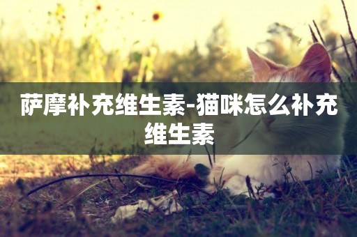 薩摩補充維生素-貓咪怎么補充維生素