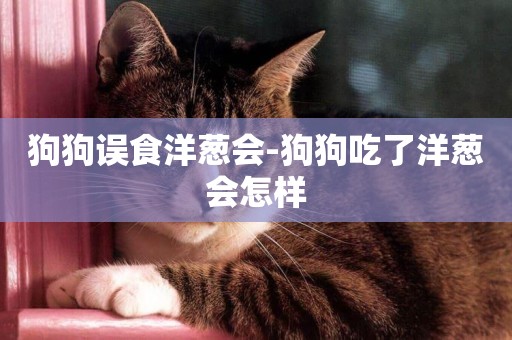 狗狗誤食洋蔥會-狗狗吃了洋蔥會怎樣