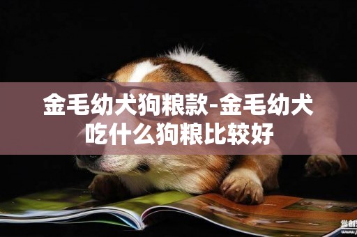 金毛幼犬狗糧款-金毛幼犬吃什么狗糧比較好