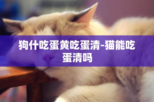 狗什吃蛋黃吃蛋清-貓能吃蛋清嗎