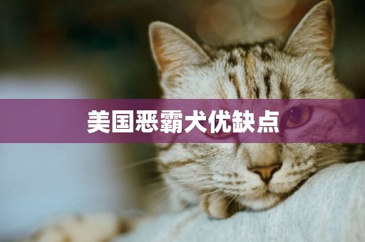 美國惡霸犬優缺點