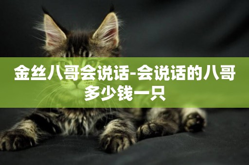 金絲八哥會說話-會說話的八哥多少錢一只