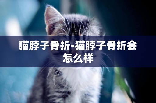 貓脖子骨折-貓脖子骨折會怎么樣