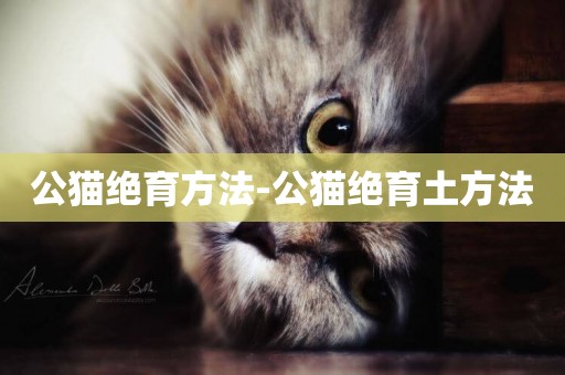 公貓絕育方法-公貓絕育土方法
