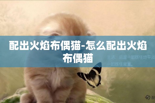 配出火焰布偶貓-怎么配出火焰布偶貓