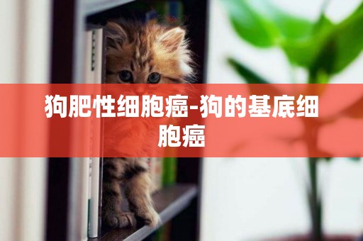 狗肥性細胞癌-狗的基底細胞癌