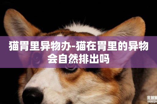 貓胃里異物辦-貓在胃里的異物會自然排出嗎