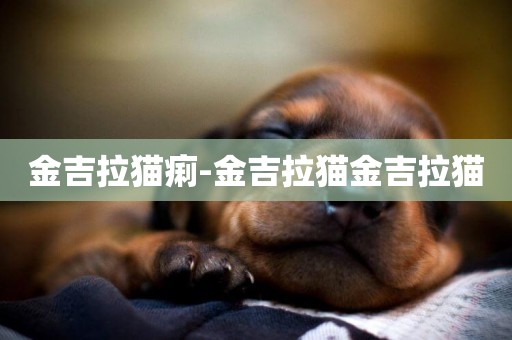 金吉拉貓痢-金吉拉貓金吉拉貓