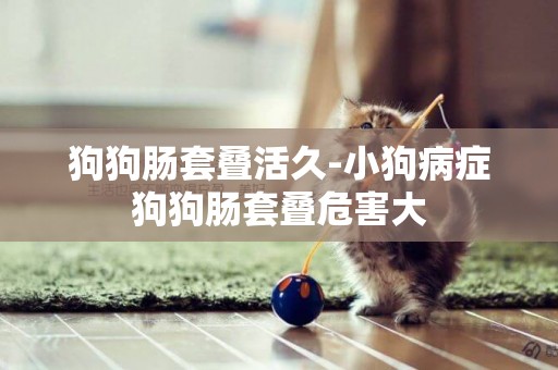 狗狗腸套疊活久-小狗病癥狗狗腸套疊危害大