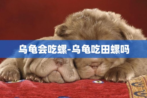 烏龜會吃螺-烏龜吃田螺嗎