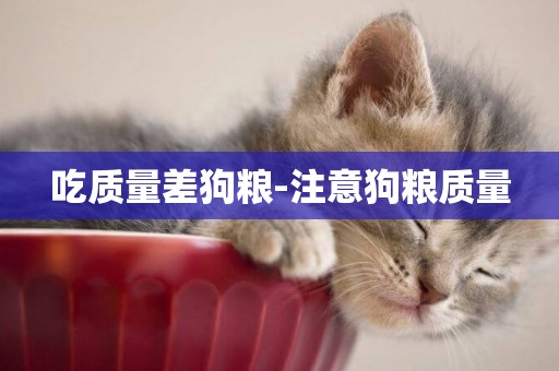 吃質量差狗糧-注意狗糧質量